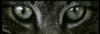 gug