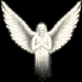 Sola_fide