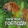 Р.О.М.А.