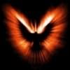 Angel-S