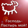 овечка