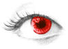 RedWind