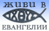 Alex66s