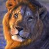 Lion of Judah