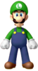 Sasa