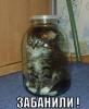 Николаша