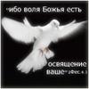 Evgenii_zp