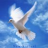 New-Virtual
