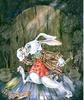 WhiteRabbit