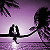 Amor