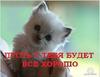KUZYA