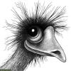 Corvalol