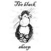 BlackSheep
