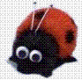 Ladybird