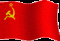 Akela Wolf