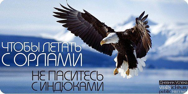 Нажмите на изображение для увеличения.

Название:	getImage (37).jpg
Просмотров:	1
Размер:	41.6 Кб
ID:	10126546