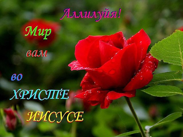 Нажмите на изображение для увеличения.

Название:	getImage (87).jpg
Просмотров:	1
Размер:	50.4 Кб
ID:	10126551