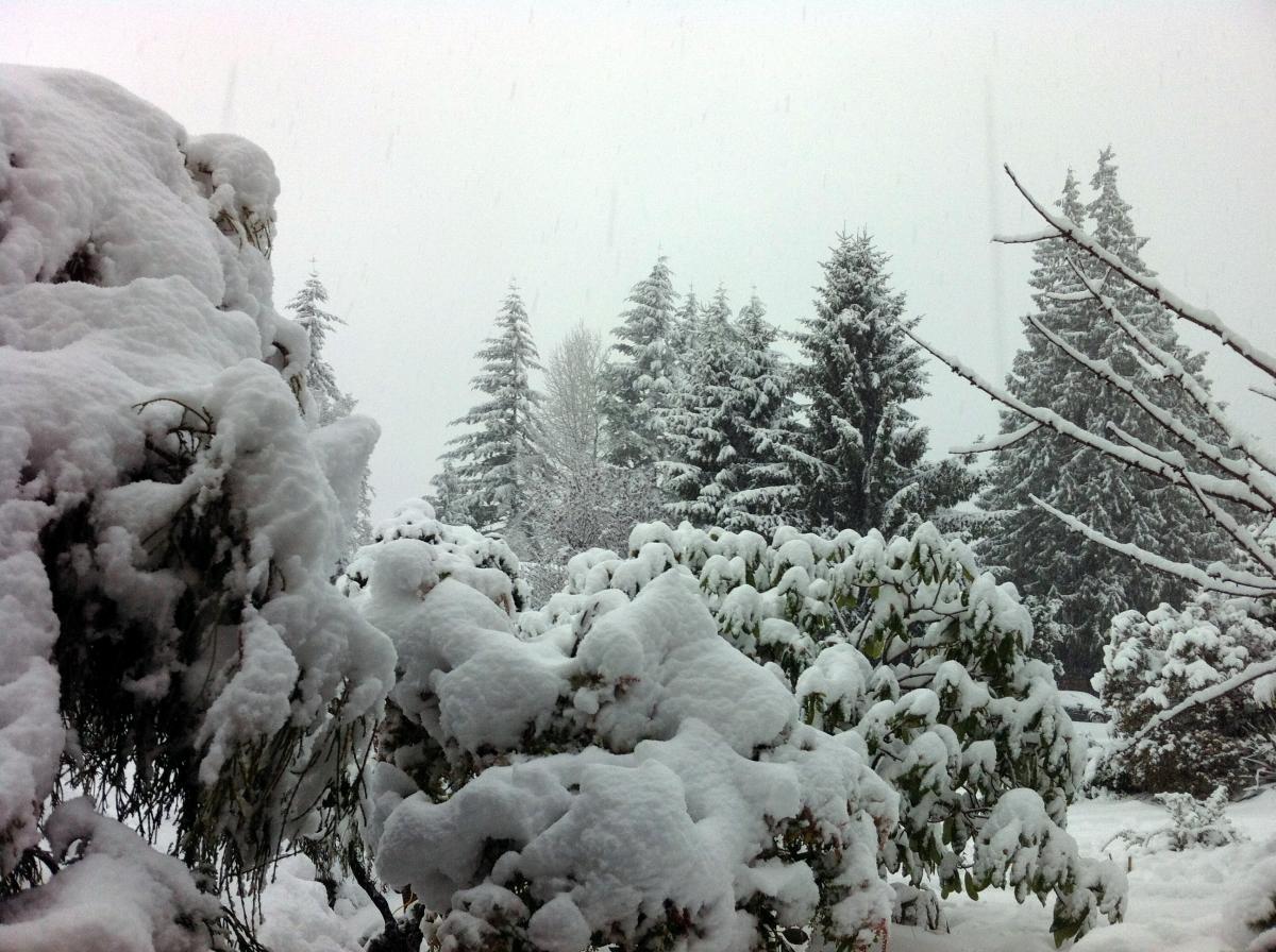 Нажмите на изображение для увеличения.

Название:	photo.jpg
Просмотров:	2
Размер:	176.3 Кб
ID:	10127613