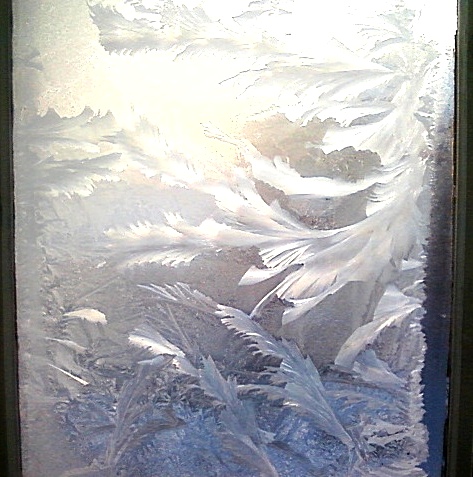 Нажмите на изображение для увеличения.

Название:	Фото-0024.jpg
Просмотров:	1
Размер:	110.3 Кб
ID:	10127797