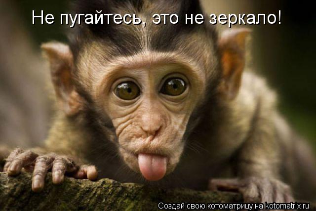 Нажмите на изображение для увеличения.

Название:	3ce6a7c06b.jpg
Просмотров:	1
Размер:	38.8 Кб
ID:	10131268