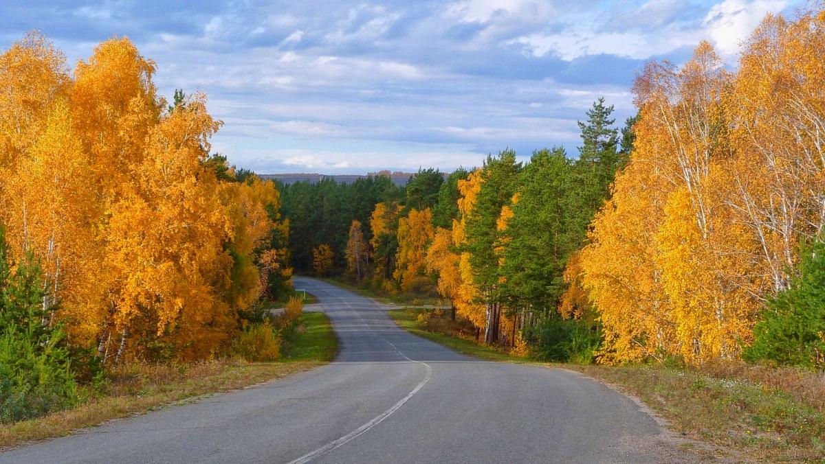Нажмите на изображение для увеличения.

Название:	0_9df62_59e0813a_orig.jpg
Просмотров:	1
Размер:	180.5 Кб
ID:	10131362