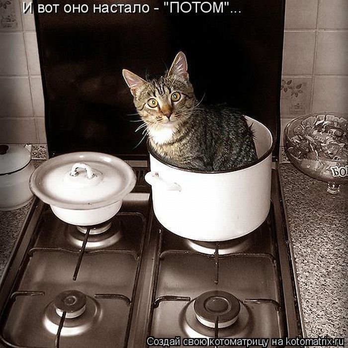 Нажмите на изображение для увеличения.

Название:	kotomatrix_22.jpg
Просмотров:	1
Размер:	100.4 Кб
ID:	10131468