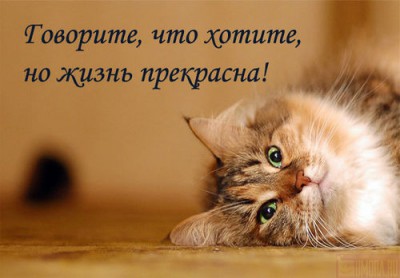 Нажмите на изображение для увеличения.

Название:	8LzGpxHHsr1FsViZa.jpeg
Просмотров:	1
Размер:	25.7 Кб
ID:	10131636