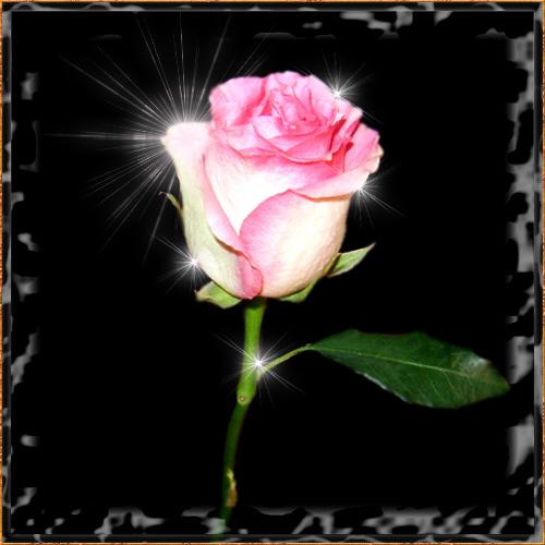 Нажмите на изображение для увеличения.

Название:	00f45fc397c23a1d154e88e49019fcec.jpg
Просмотров:	1
Размер:	127.4 Кб
ID:	10131826