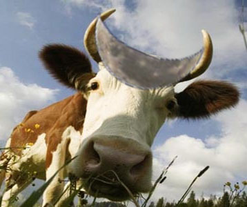 Нажмите на изображение для увеличения.

Название:	cow_moon.jpg
Просмотров:	1
Размер:	47.5 Кб
ID:	10131980