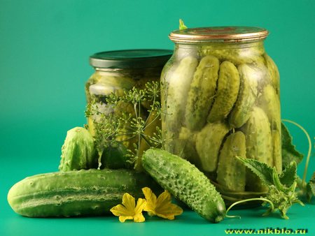 Нажмите на изображение для увеличения.

Название:	ltext_2505121745.p_2505121900.ogurzy.jpg
Просмотров:	1
Размер:	31.3 Кб
ID:	10132420