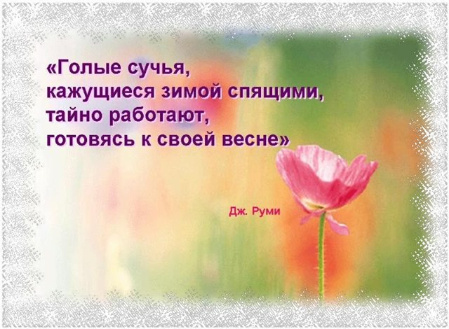 Нажмите на изображение для увеличения.

Название:	c08e7331a436.jpg
Просмотров:	1
Размер:	69.5 Кб
ID:	10132532