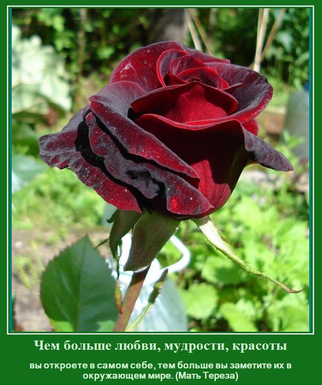 Нажмите на изображение для увеличения.

Название:	отражение.jpg
Просмотров:	1
Размер:	84.2 Кб
ID:	10133684