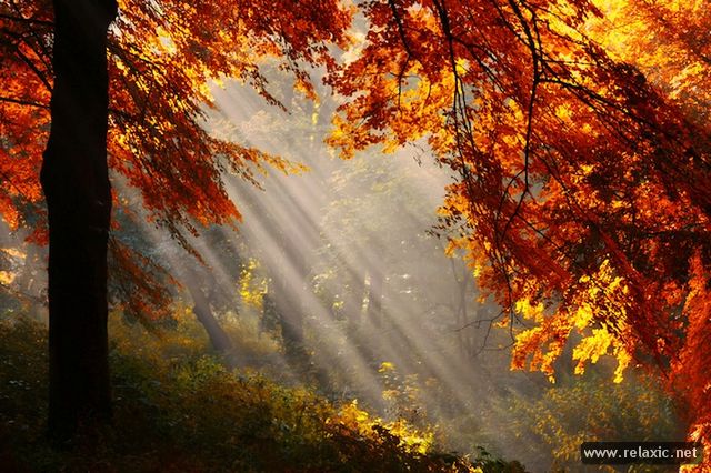 Нажмите на изображение для увеличения.

Название:	Sun_rays_013.jpg
Просмотров:	1
Размер:	85.8 Кб
ID:	10133739