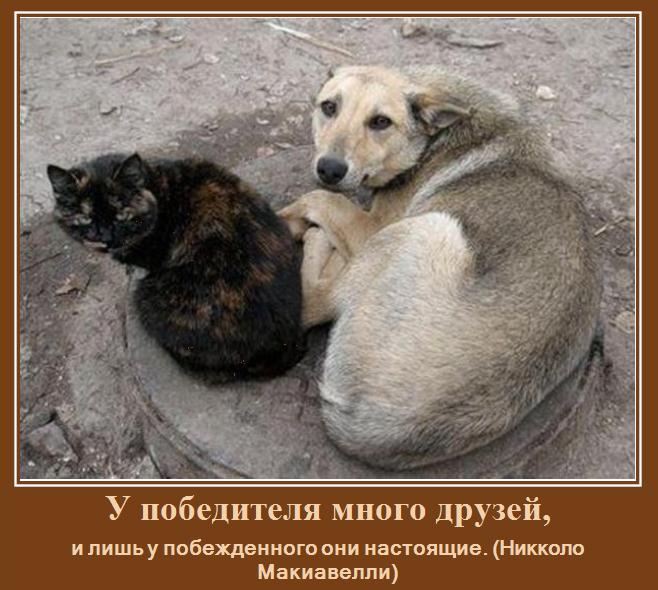 Нажмите на изображение для увеличения.

Название:	друзья.jpg
Просмотров:	1
Размер:	63.9 Кб
ID:	10133774