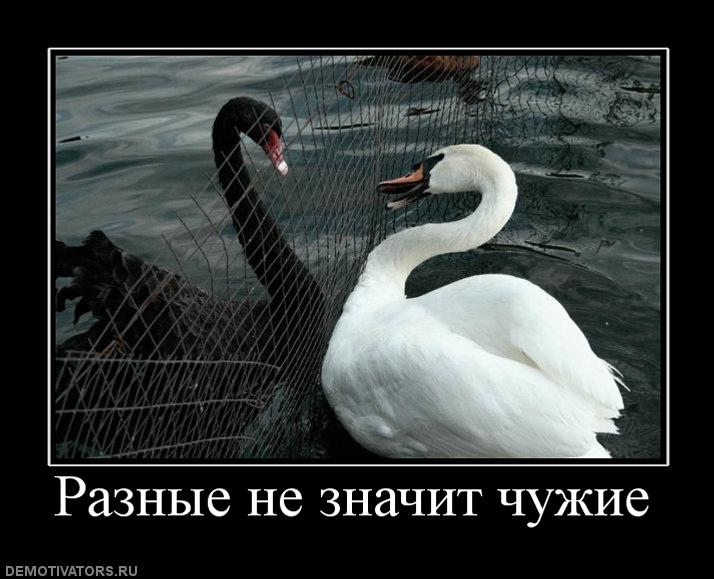 Нажмите на изображение для увеличения.

Название:	996698_raznyie-ne-znachit-chuzhie.jpg
Просмотров:	1
Размер:	61.4 Кб
ID:	10133905