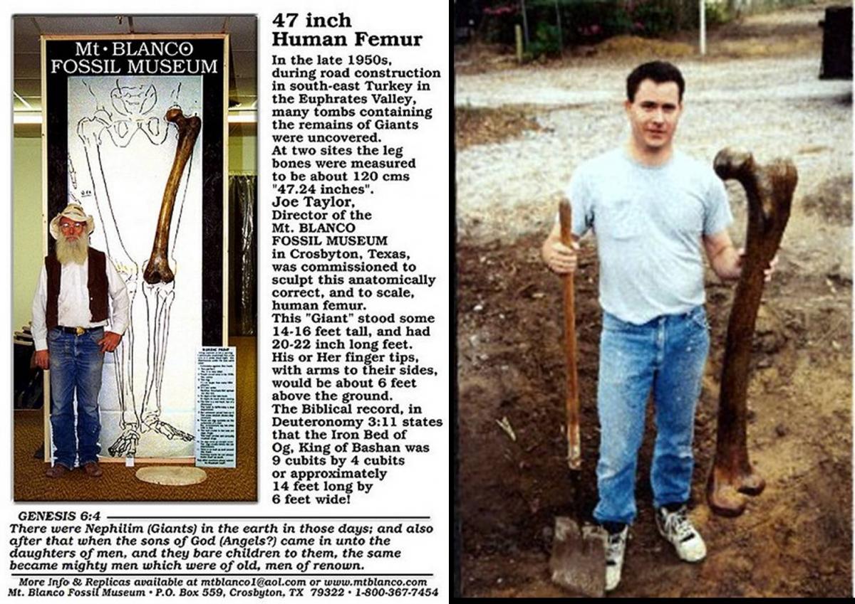 Нажмите на изображение для увеличения.

Название:	contact14_96.jpg
Просмотров:	1
Размер:	196.3 Кб
ID:	10136777