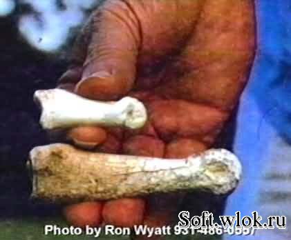 Нажмите на изображение для увеличения.

Название:	1250418924_12.jpg
Просмотров:	1
Размер:	21.9 Кб
ID:	10136779