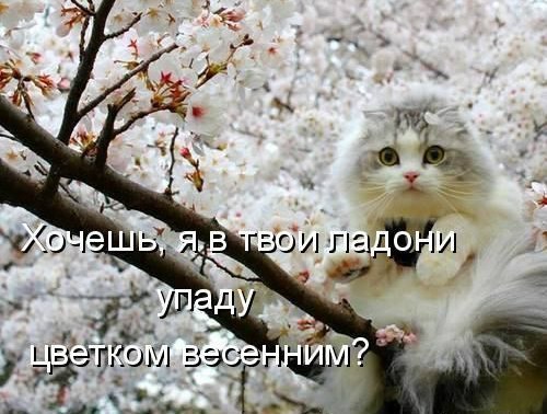 Нажмите на изображение для увеличения.

Название:	4ef6bff591e8.jpg
Просмотров:	1
Размер:	56.7 Кб
ID:	10138786