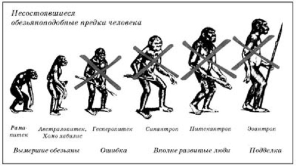 Нажмите на изображение для увеличения.

Название:	evolutsia 600.jpg
Просмотров:	3
Размер:	64.0 Кб
ID:	10142908