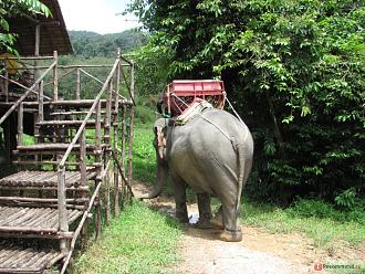 Нажмите на изображение для увеличения.

Название:	l47i8gDWB346MR6qXWCJBg.jpg
Просмотров:	1
Размер:	469.2 Кб
ID:	10626196
