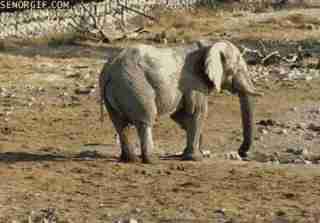 Нажмите на изображение для увеличения.

Название:	vgif-ru-21514.jpg
Просмотров:	1
Размер:	6.7 Кб
ID:	10626197