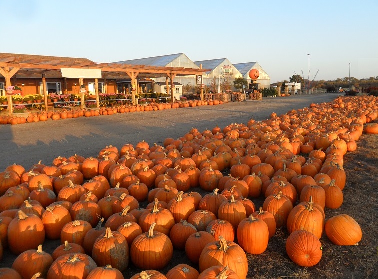 Нажмите на изображение для увеличения.

Название:	Осеньдля новичков 2.jpg
Просмотров:	1
Размер:	257.3 Кб
ID:	10142642