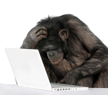 Нажмите на изображение для увеличения.

Название:	laptop_chimp.jpg
Просмотров:	1
Размер:	102.6 Кб
ID:	10143021