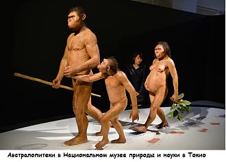 Нажмите на изображение для увеличения.

Название:	австралопитеки в Национальном музее природыи науки в Токио 2.jpg
Просмотров:	3
Размер:	78.0 Кб
ID:	10147573