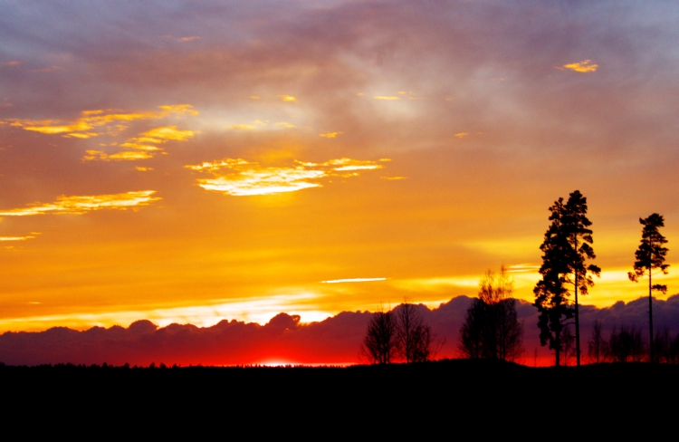 Нажмите на изображение для увеличения.

Название:	Iltarusko-2-s.jpg
Просмотров:	1
Размер:	205.5 Кб
ID:	10165285