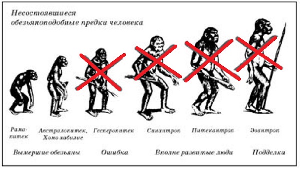 Нажмите на изображение для увеличения.

Название:	evolutsia.jpg
Просмотров:	3
Размер:	71.9 Кб
ID:	10157349