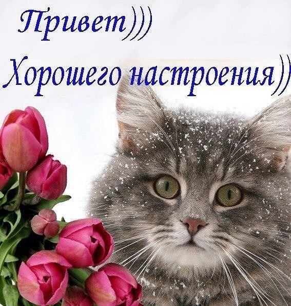 Нажмите на изображение для увеличения.

Название:	privet-xoroshego-nastroeniya.gif.jpg
Просмотров:	2
Размер:	95.2 Кб
ID:	10151668