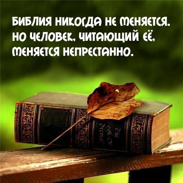 Нажмите на изображение для увеличения.

Название:	0kxrdQGVvZg.jpg
Просмотров:	1
Размер:	75.5 Кб
ID:	10153710