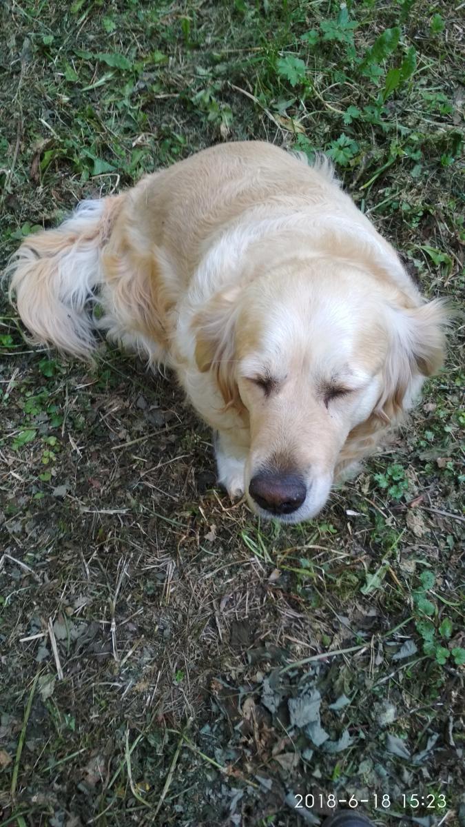 Нажмите на изображение для увеличения.

Название:	IMG_20180618_152348.jpg
Просмотров:	1
Размер:	182.6 Кб
ID:	10155331