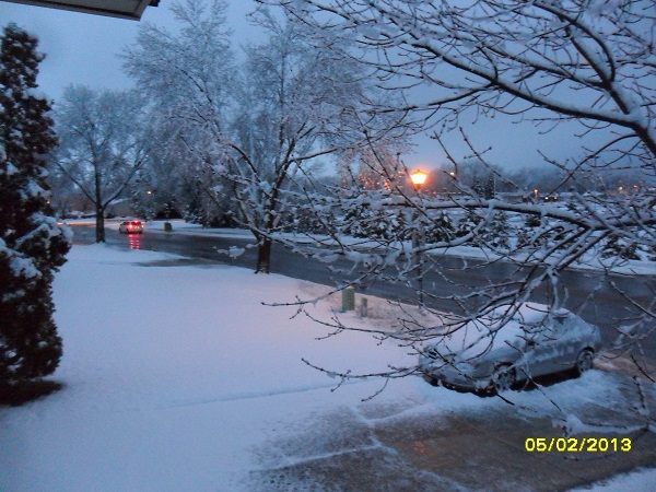 Нажмите на изображение для увеличения.

Название:	may 2 600.jpg
Просмотров:	1
Размер:	197.4 Кб
ID:	10155542